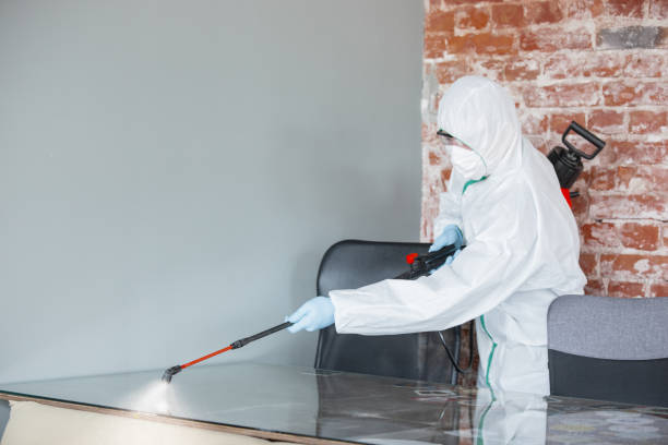 Why You Should Choose Our Mold Remediation Services in Madras, OR